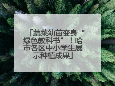 蔬菜幼苗变身“绿色教科书”！哈市各区中小学生展示种植成果