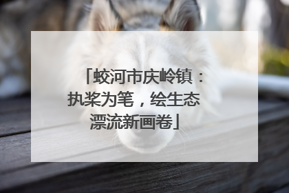 蛟河市庆岭镇：执桨为笔，绘生态漂流新画卷