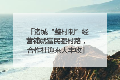 诸城“整村制”经营铺就富民强村路，合作社迎来大丰收