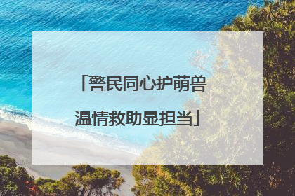 警民同心护萌兽 温情救助显担当