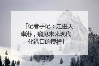 记者手记：走进天津港，窥见未来现代化港口的模样