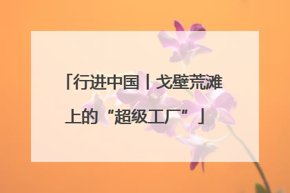 行进中国丨戈壁荒滩上的“超级工厂”