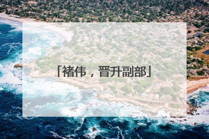 褚伟，晋升副部