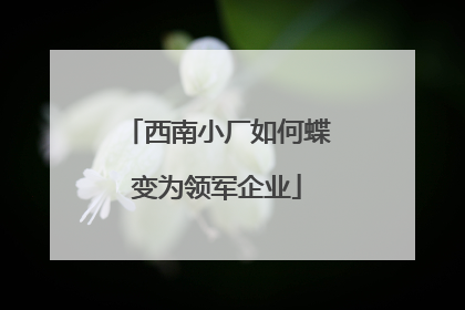 西南小厂如何蝶变为领军企业