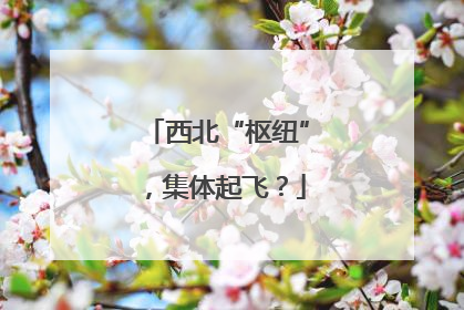 西北“枢纽”，集体起飞？