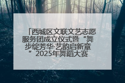 西城区文联文艺志愿服务团成立仪式暨“舞步绽芳华·艺韵启新章”2025年舞蹈大赛展演圆满举办