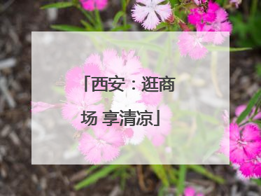 西安：逛商场 享清凉