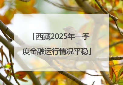 西藏2025年一季度金融运行情况平稳