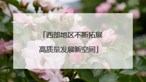 西部地区不断拓展高质量发展新空间