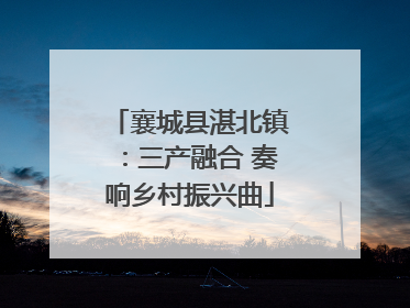 襄城县湛北镇：三产融合 奏响乡村振兴曲