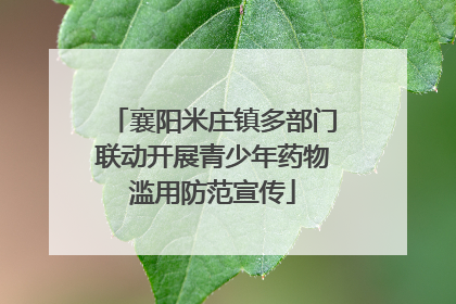 襄阳米庄镇多部门联动开展青少年药物滥用防范宣传