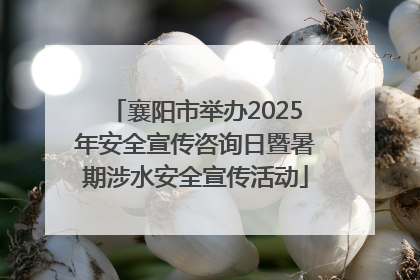 襄阳市举办2025年安全宣传咨询日暨暑期涉水安全宣传活动