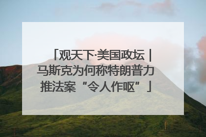 观天下·美国政坛｜马斯克为何称特朗普力推法案“令人作呕”