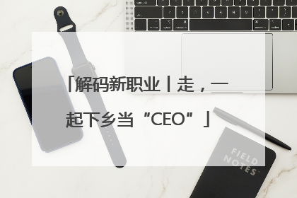 解码新职业丨走，一起下乡当“CEO”