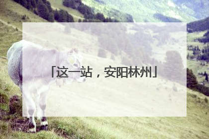 这一站，安阳林州