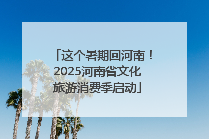 这个暑期回河南！2025河南省文化旅游消费季启动