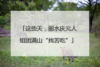 这些天，丽水庆元人组团满山“找苦吃”
