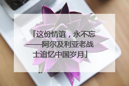 这份情谊，永不忘——阿尔及利亚老战士追忆中国岁月