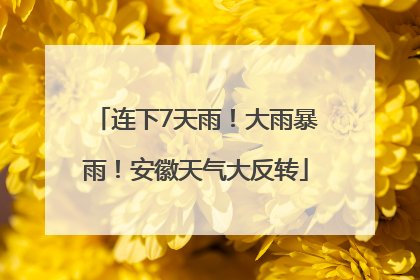 连下7天雨!大雨暴雨!安徽天气大反转