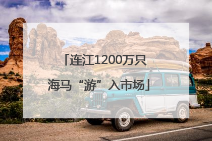 连江1200万只海马“游”入市场