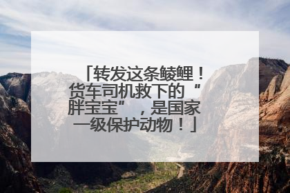 转发这条鲮鲤！货车司机救下的“胖宝宝”，是国家一级保护动物！
