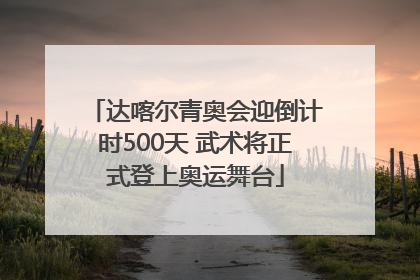 达喀尔青奥会迎倒计时500天 武术将正式登上奥运舞台