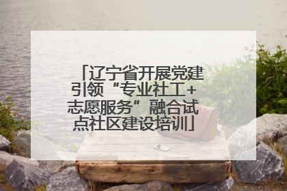 辽宁省开展党建引领“专业社工+志愿服务”融合试点社区建设培训