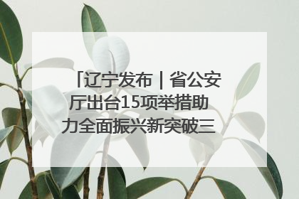 辽宁发布｜省公安厅出台15项举措助力全面振兴新突破三年行动决胜之战