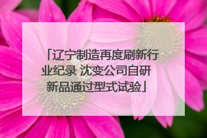 辽宁制造再度刷新行业纪录 沈变公司自研新品通过型式试验