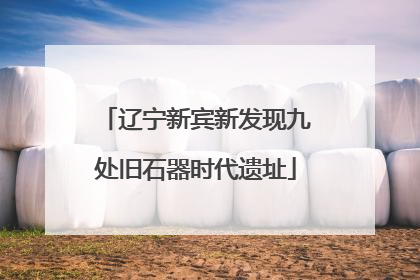辽宁新宾新发现九处旧石器时代遗址