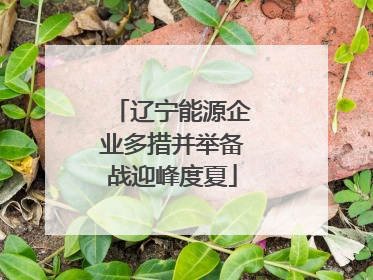 辽宁能源企业多措并举备战迎峰度夏