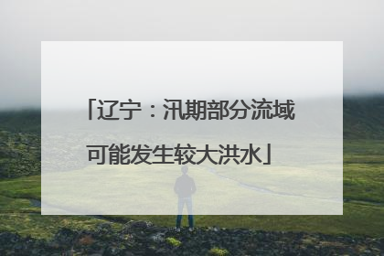 辽宁：汛期部分流域可能发生较大洪水
