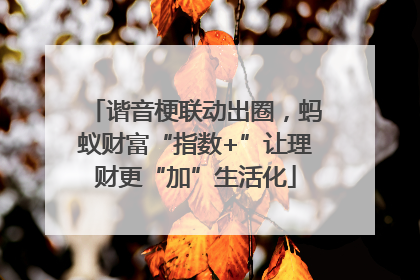 谐音梗联动出圈，蚂蚁财富“指数+”让理财更“加”生活化