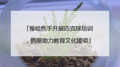 豫哈携手开展匹克球培训，鹤壁助力教育文化援疆