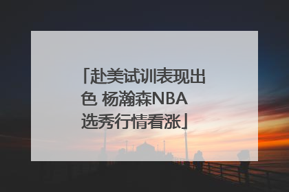 赴美试训表现出色 杨瀚森NBA选秀行情看涨