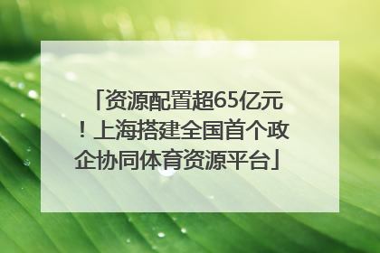 资源配置超65亿元！上海搭建全国首个政企协同体育资源平台