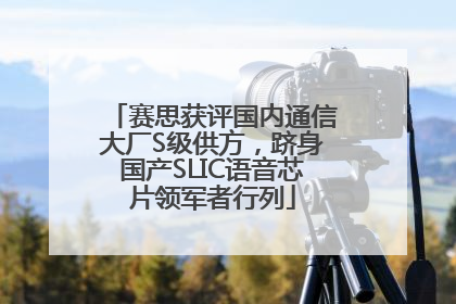 赛思获评国内通信大厂S级供方，跻身国产SLIC语音芯片领军者行列