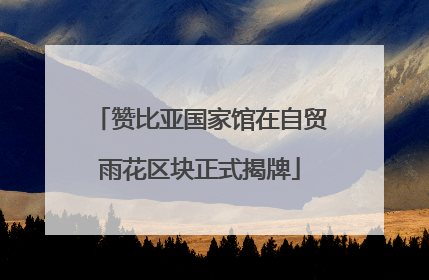 赞比亚国家馆在自贸雨花区块正式揭牌