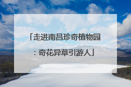 走进南昌珍奇植物园：奇花异草引游人