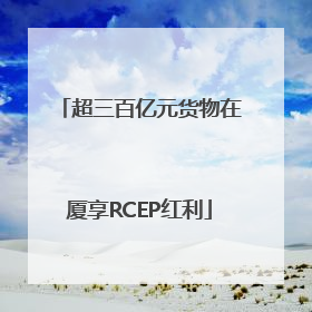 超三百亿元货物在厦享RCEP红利