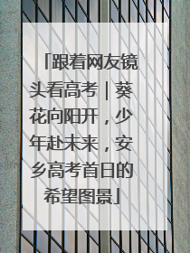 跟着网友镜头看高考｜葵花向阳开，少年赴未来，安乡高考首日的希望图景