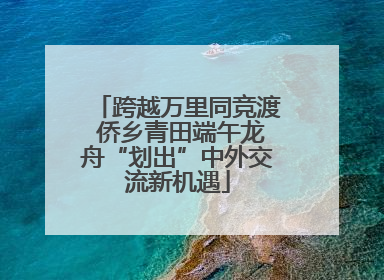 跨越万里同竞渡 侨乡青田端午龙舟“划出”中外交流新机遇