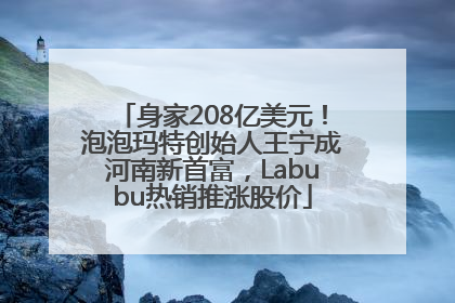 身家208亿美元！泡泡玛特创始人王宁成河南新首富，Labubu热销推涨股价