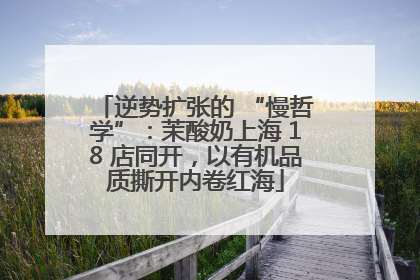逆势扩张的 “慢哲学”：茉酸奶上海 18 店同开，以有机品质撕开内卷红海