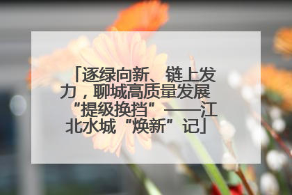 逐绿向新、链上发力，聊城高质量发展“提级换挡”——江北水城“焕新”记