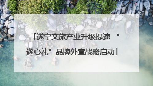 遂宁文旅产业升级提速 “遂心礼”品牌外宣战略启动