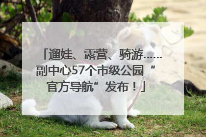 遛娃、露营、骑游……副中心57个市级公园“官方导航”发布！