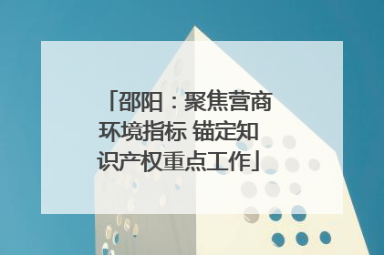 邵阳：聚焦营商环境指标 锚定知识产权重点工作
