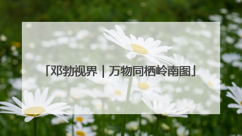 邓勃视界｜万物同栖岭南图