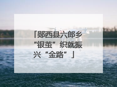 郧西县六郎乡“银茧”织就振兴“金路”